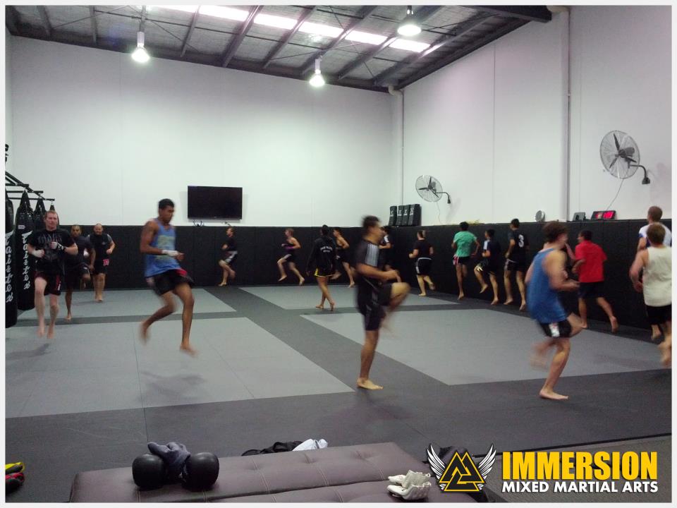 Immersion Mixed Martial Arts | 655C Waverley Rd, Glen Waverley VIC 3150, Australia | Phone: (03) 8555 9881