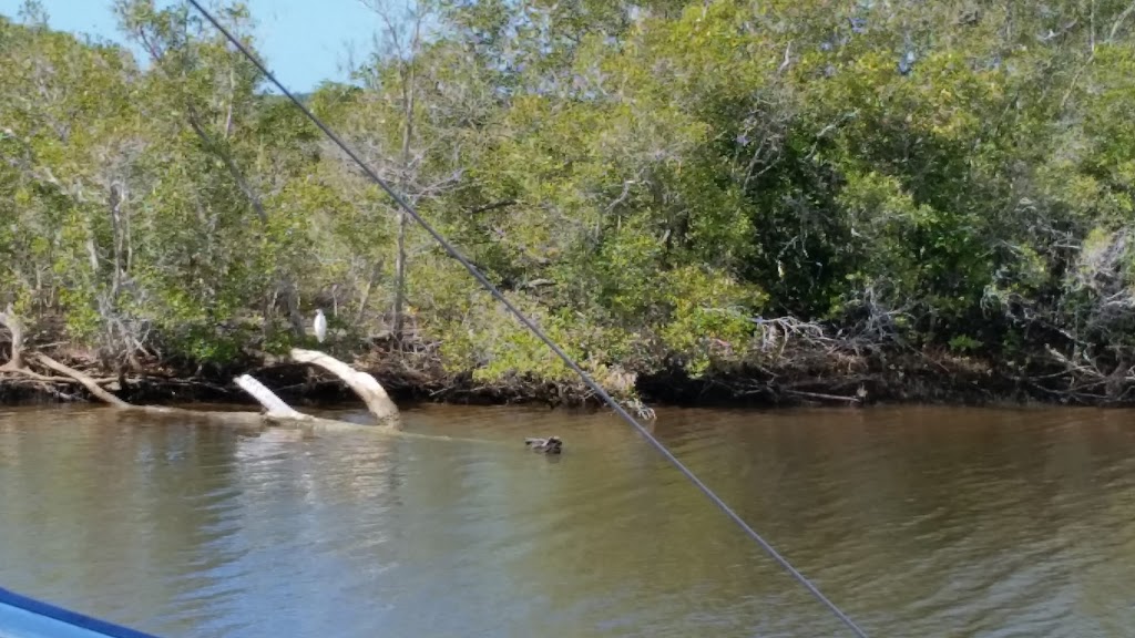 Maroochy Wetland Sanctuary | park | Sports Rd, Bli Bli QLD 4560, Australia | 0754486723 OR +61 7 5448 6723