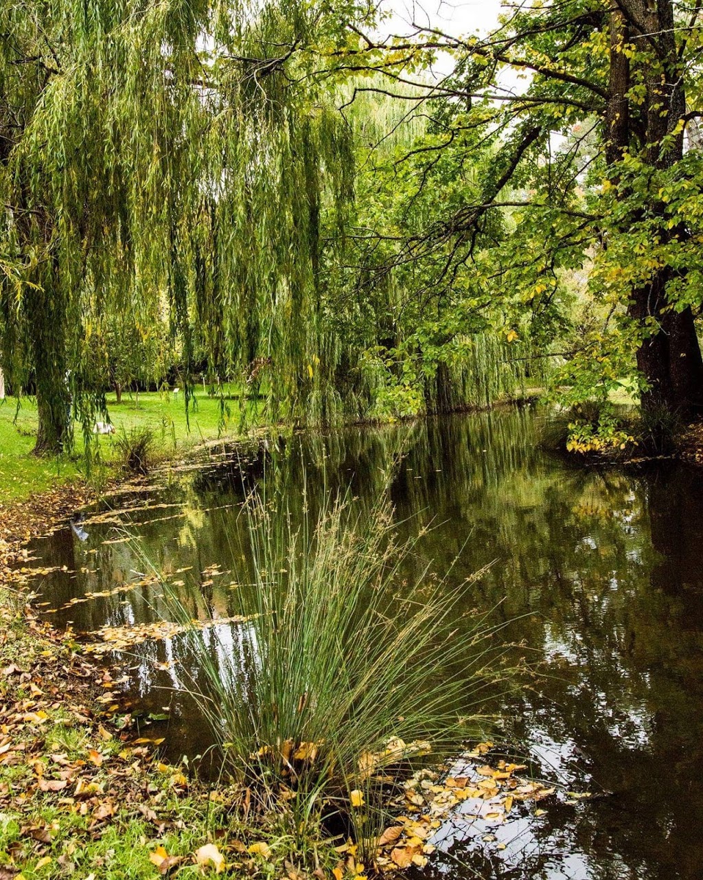 Malmsbury Botanic Garden and Lake | park | Ellesmere Pl, Malmsbury VIC 3446, Australia