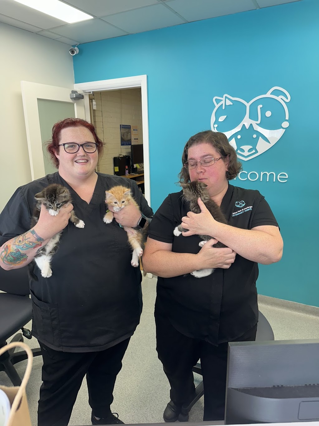 Illawarra Cat Rescue Limited | Unit 2/101 Esperance Dr, Albion Park NSW 2527, Australia | Phone: 0402 390 750