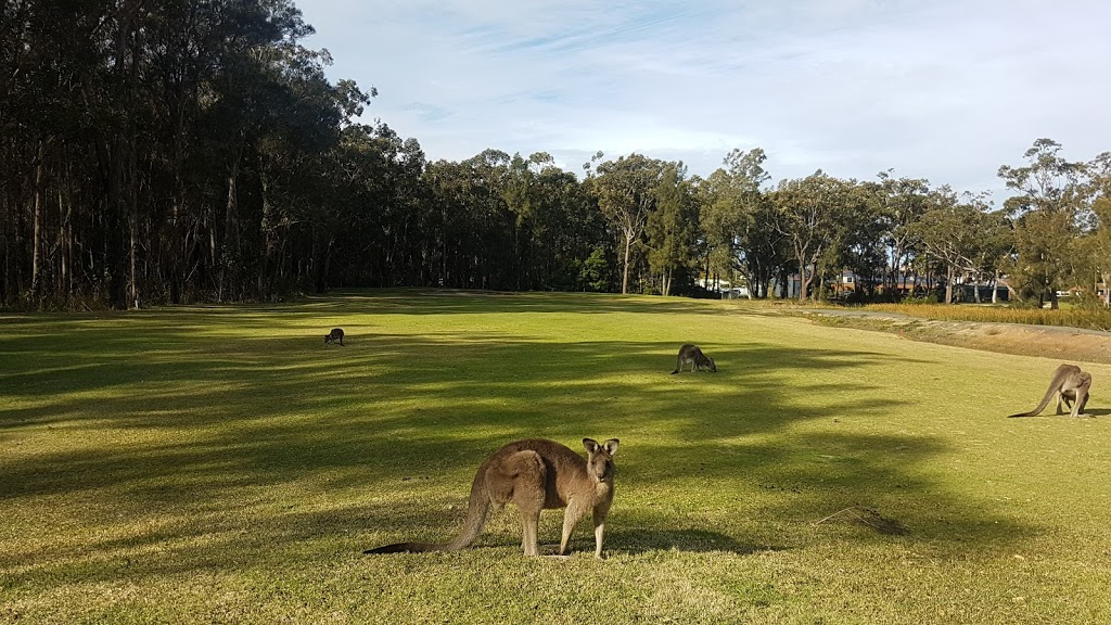 Callala Golf Course | Callala Beach Rd, Callala Beach NSW 2540, Australia | Phone: (02) 4446 5313