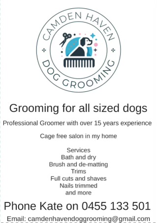 Camden Haven Dog Grooming | 23 Caringal Dr, Middle Brother NSW 2443, Australia | Phone: 0455 133 501