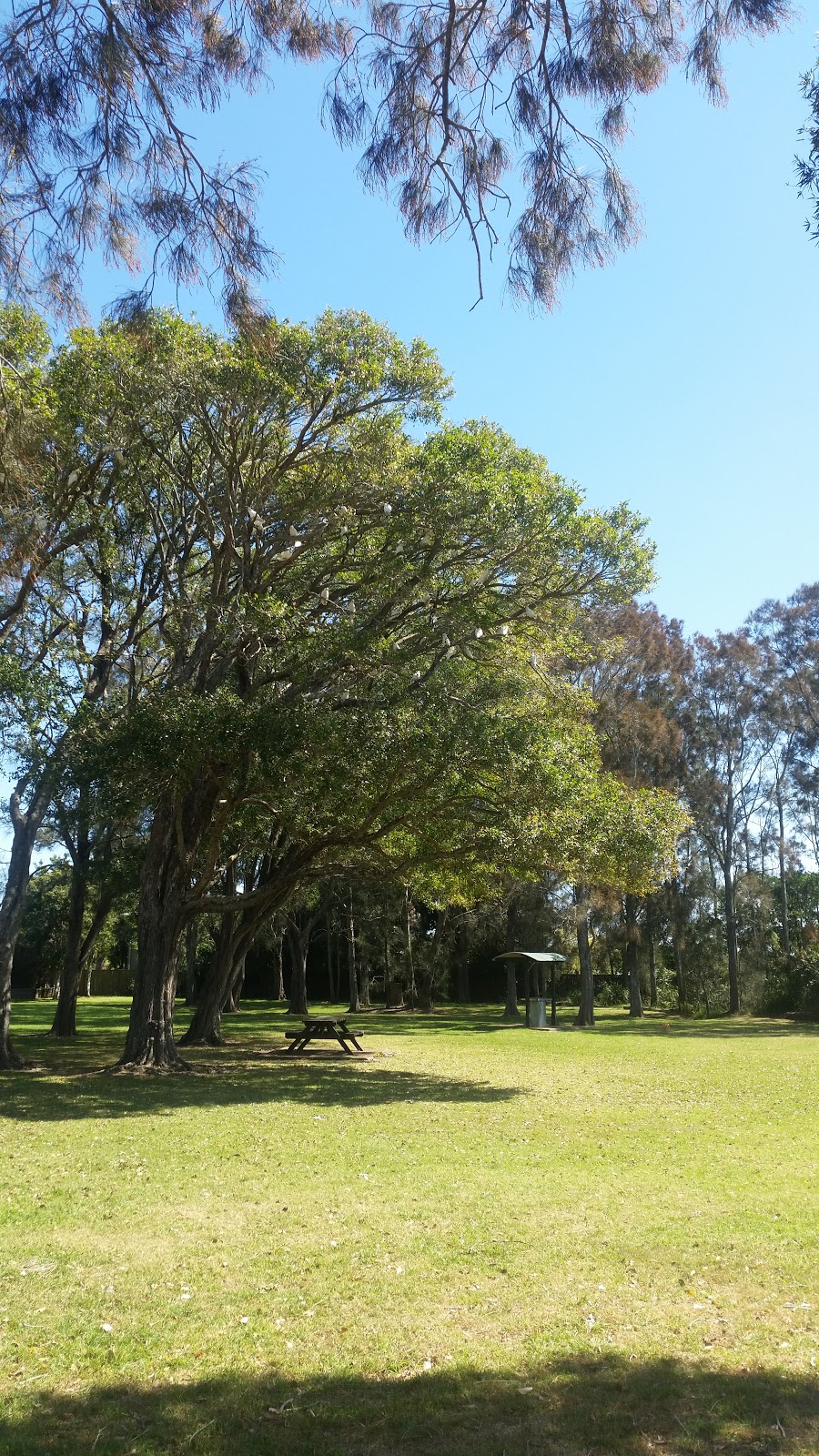 Hibbard Reserve | park | 70 Hibbard Dr, Port Macquarie NSW 2444, Australia