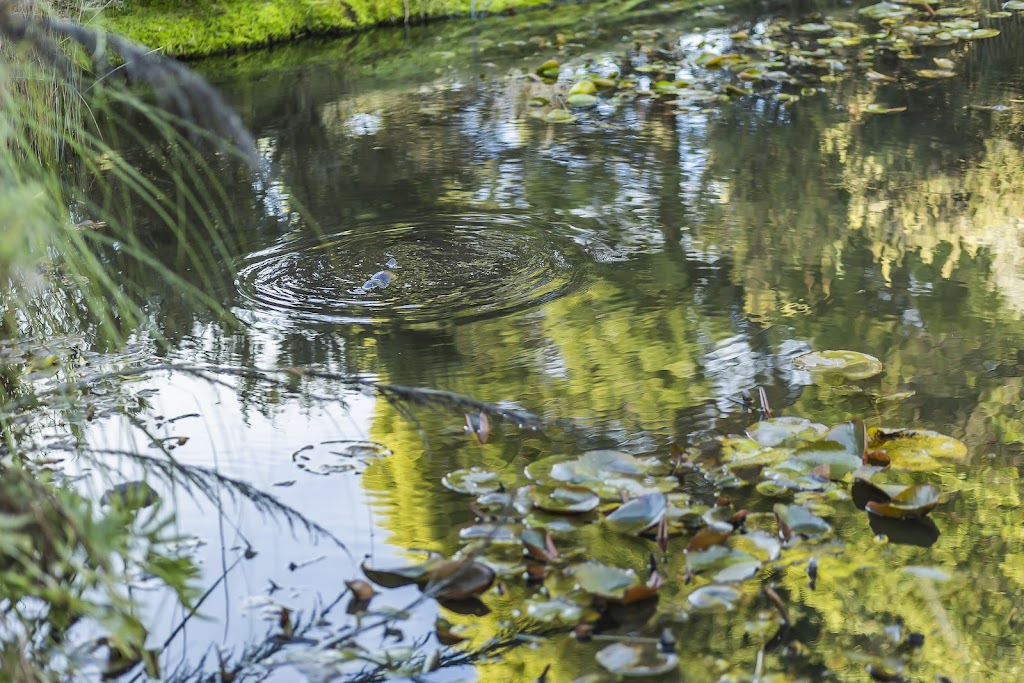 Judbury Bush Retreats | 189 Forest Hill Rd, Judbury TAS 7109, Australia | Phone: 0432 391 504