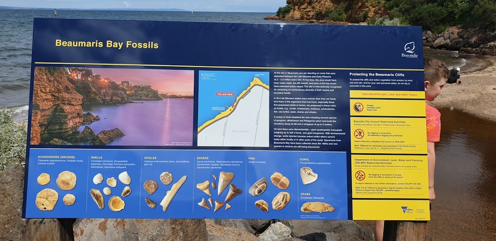 Beaumaris Bay Fossil Site | park | 474, State Route 33, Beaumaris VIC 3193, Australia