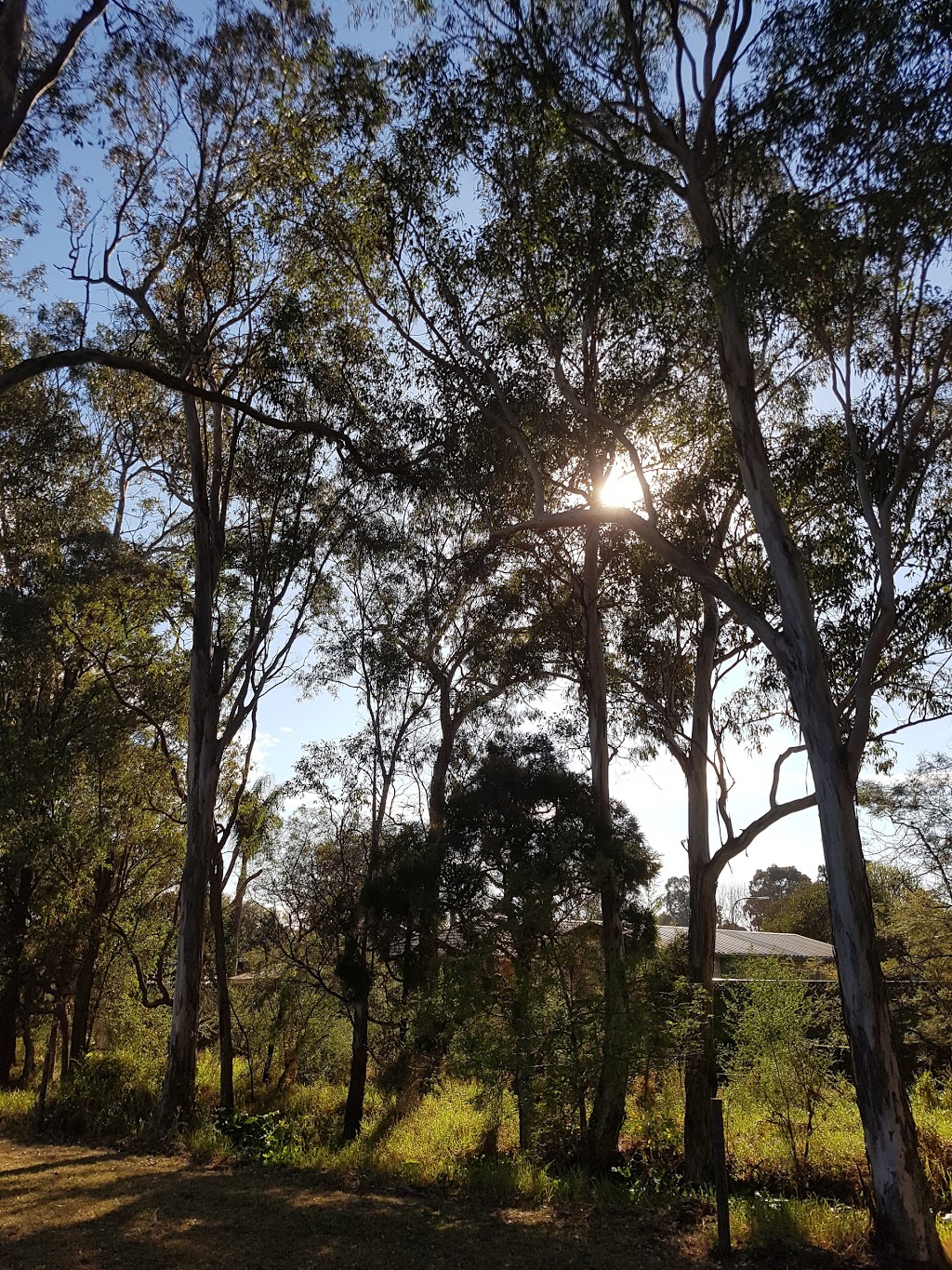 Sackville Reserve | park | 15 Clifford Cres, Ingleburn NSW 2565, Australia | 0246454000 OR +61 2 4645 4000