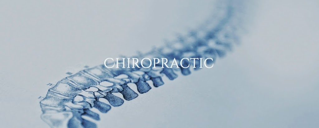 Circle of Life Chiropractic & Kinesiology | health | 70 Lake Shore Dr, North Avoca NSW 2260, Australia | 0406941496 OR +61 406 941 496