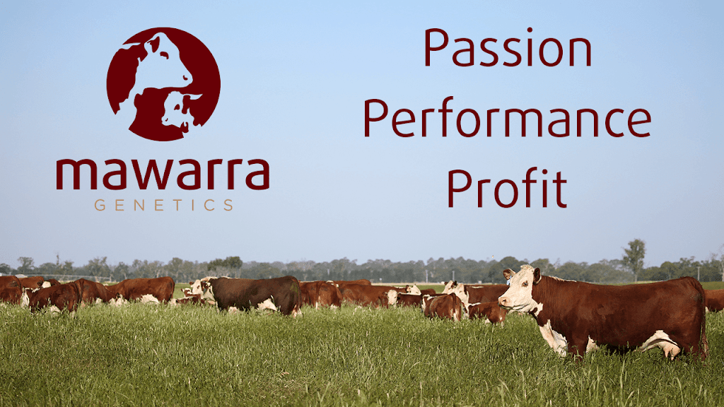 Mawarra Genetics | food | 103 Kellys Rd, Longford VIC 3851, Australia | 0408018315 OR +61 408 018 315