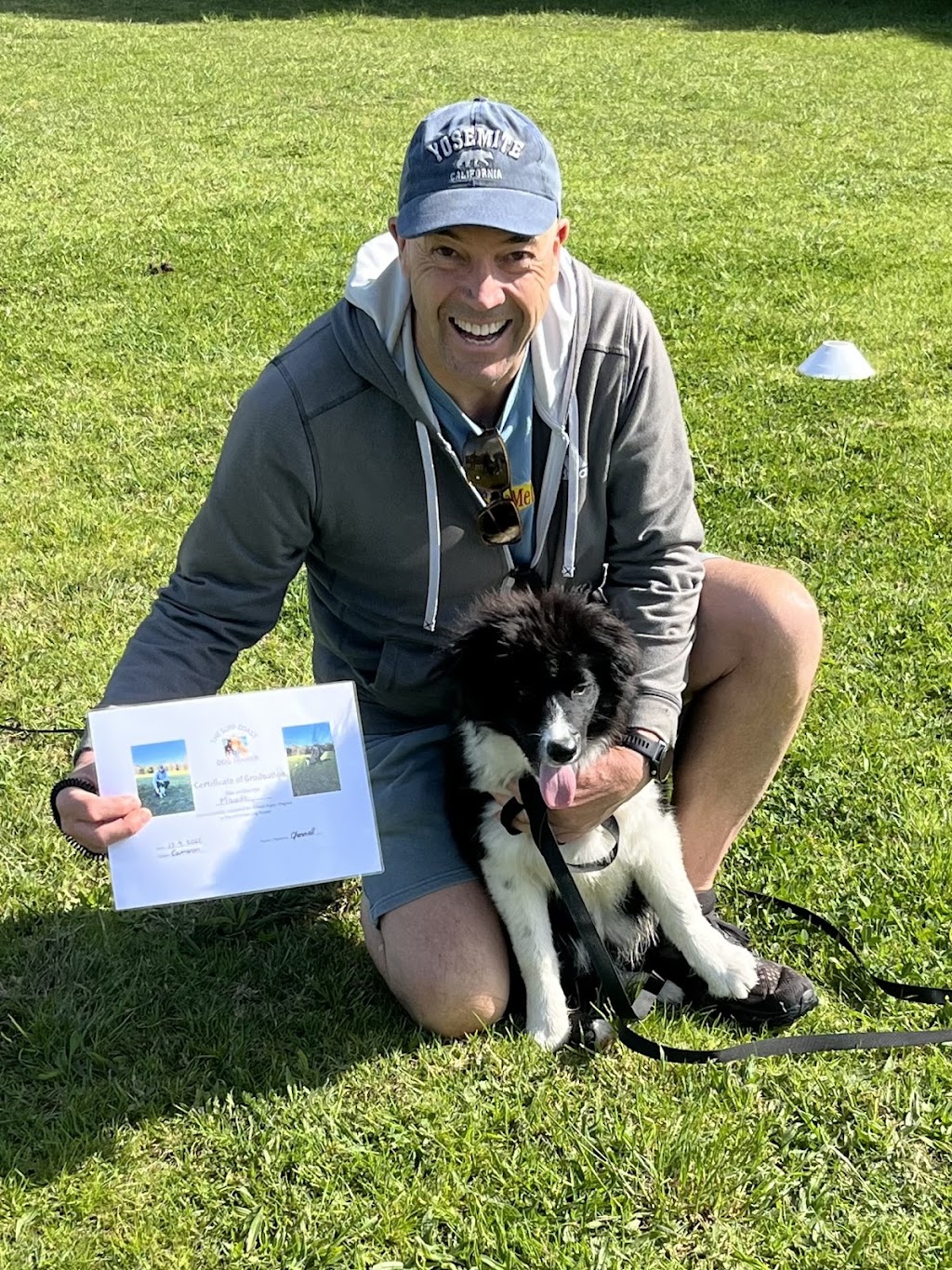 The Surf Coast Dog Trainer | 1430 Surf Coast Hwy, Torquay VIC 3228, Australia | Phone: 0402 225 860