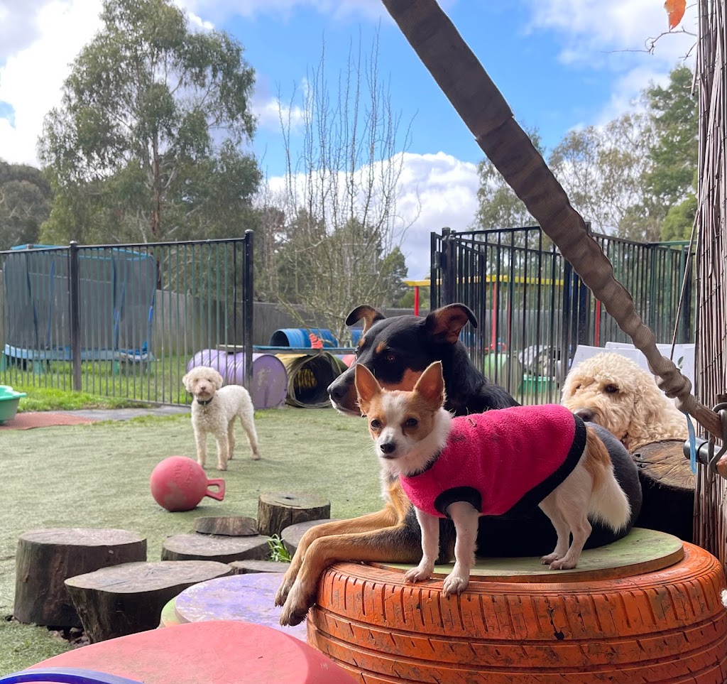 That Dog Place | 580 Bells Rd, Smythes Creek VIC 3351, Australia | Phone: 0407 334 136