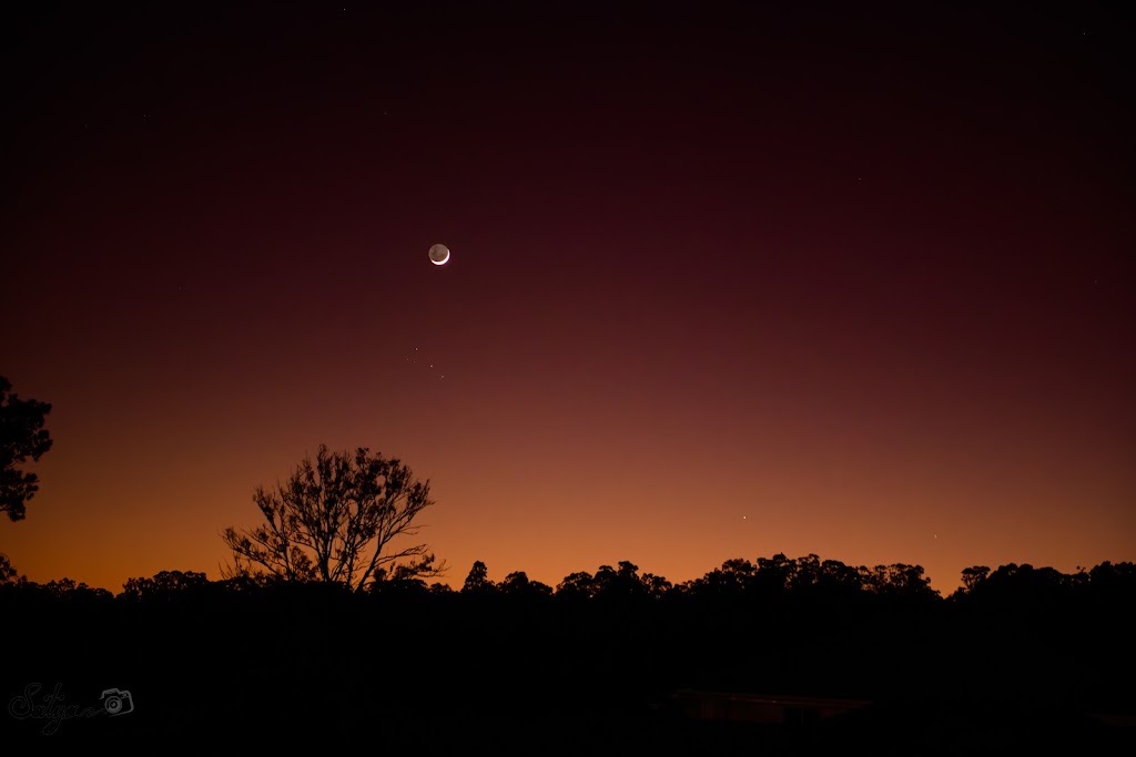 Satya Photography | Leppington NSW 2179, Australia | Phone: 0481 872 892