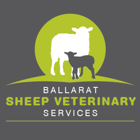 Ballarat Sheep Veterinary Services | veterinary care | 241 Aubreys Rd, Magpie VIC 3352, Australia | 0437941774 OR +61 437 941 774