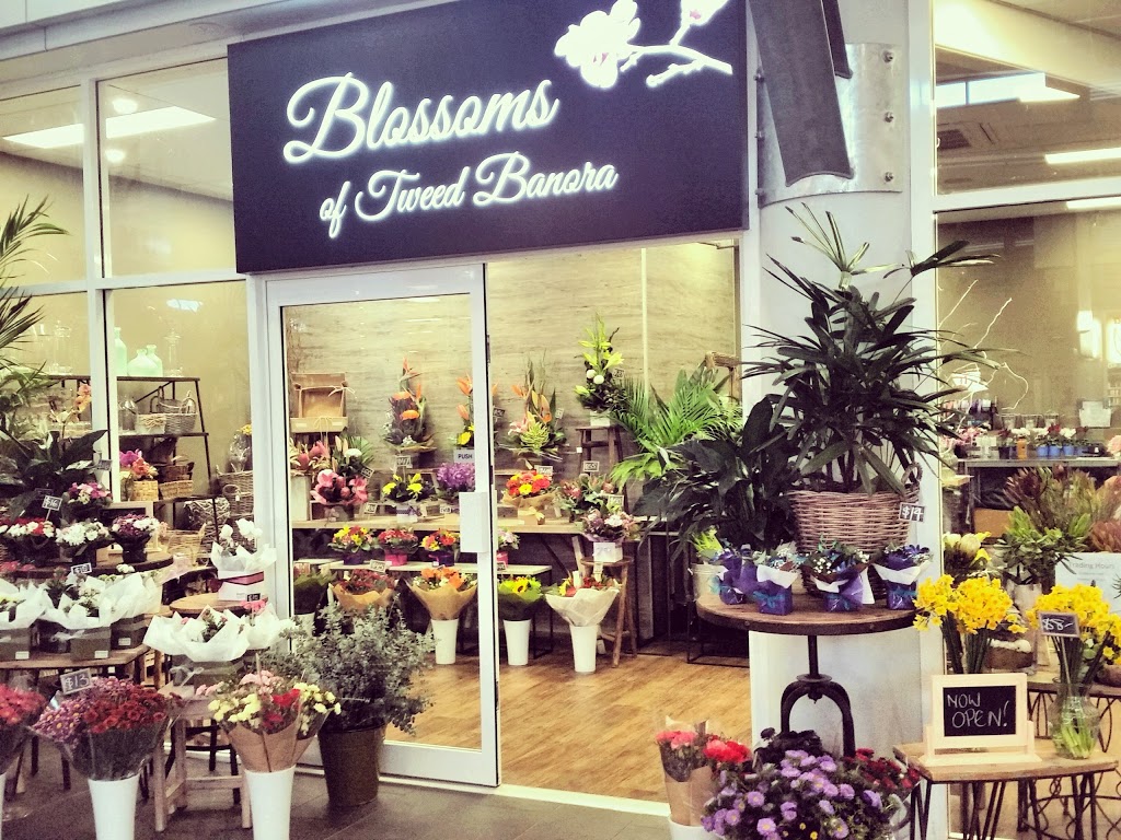 Blossoms Of Tweed Banora | 59-71 Darlington Dr, Banora Point NSW 2486, Australia | Phone: (07) 5523 0391