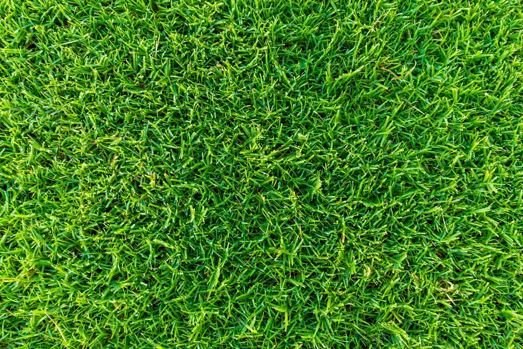 Turfworks Group (Bay Turf Gladstone) | Spring Valley Rd, West Stowe QLD 4680, Australia | Phone: (07) 4973 6363