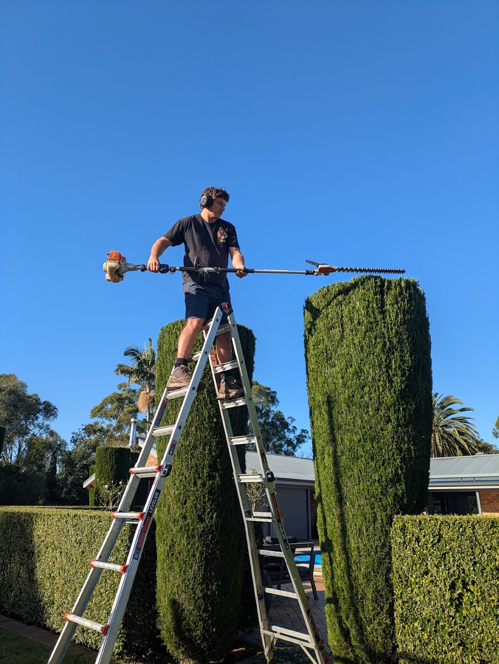 Protea Landscapes | 72 St Georges Cres, Faulconbridge NSW 2776, Australia | Phone: 0494 315 332