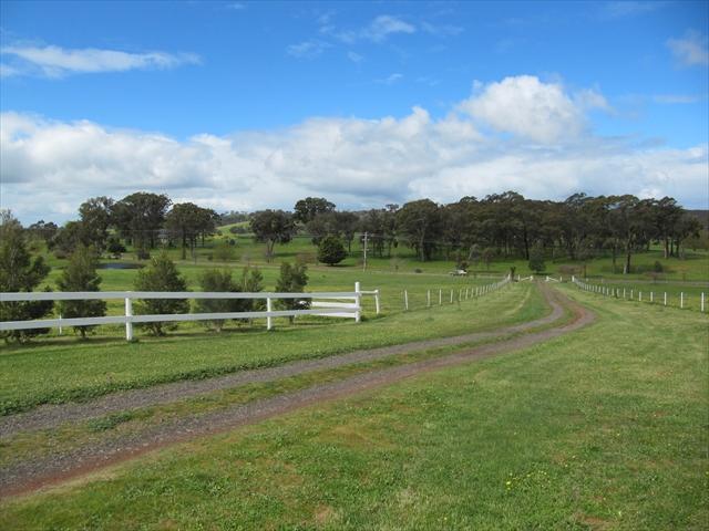 BreenBurn Alpacas | 71 Potts Rd, Taradale VIC 3447, Australia | Phone: 0412 903 288