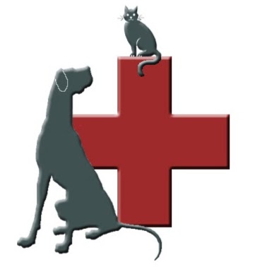 Mornington Veterinary Clinic | veterinary care | 4/1140 Nepean Hwy, Mornington VIC 3931, Australia | 0359753811 OR +61 3 5975 3811
