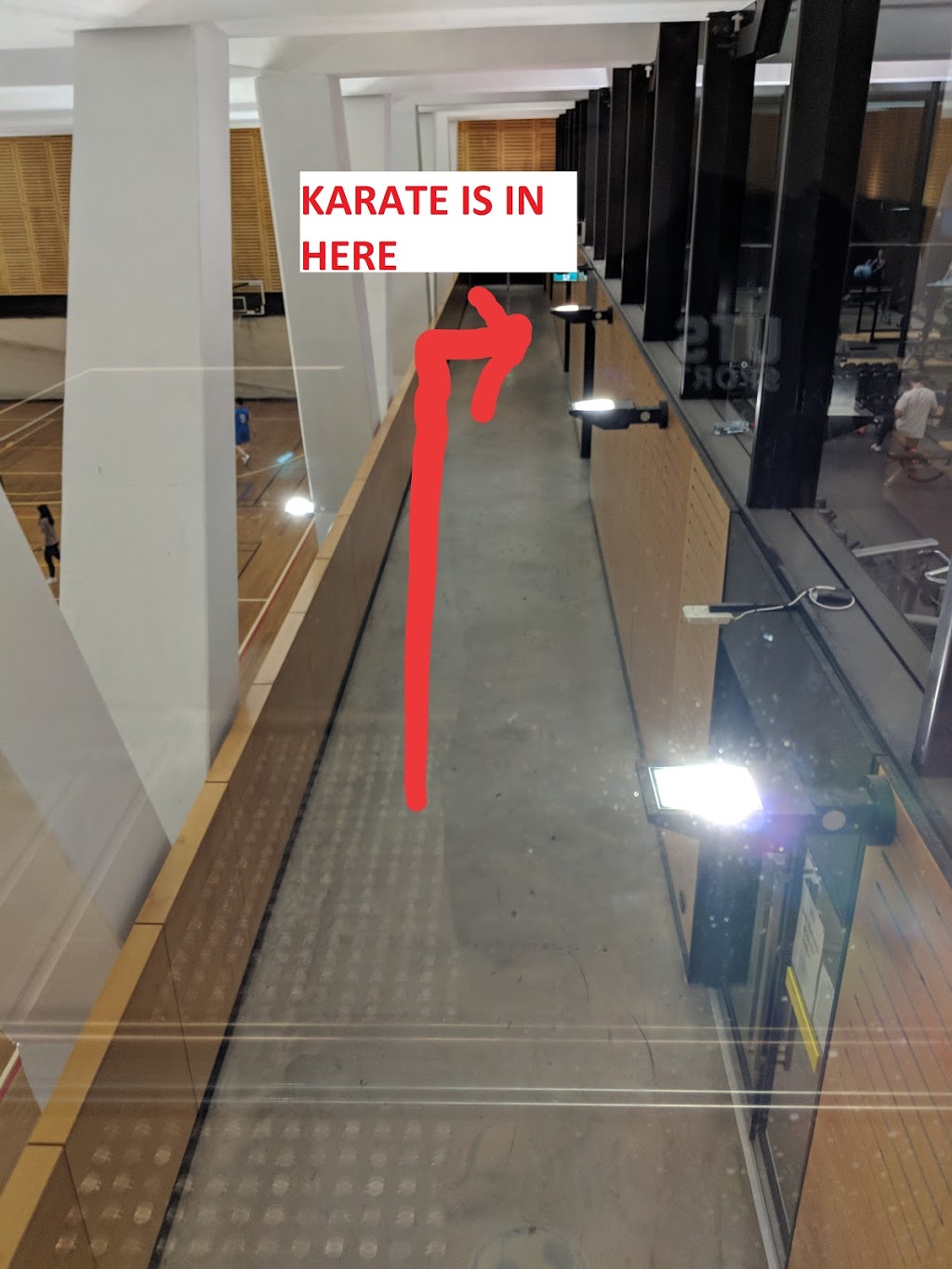 UTS Karate-do Club | Dance studio, 745 Harris St, Ultimo NSW 2007, Australia | Phone: (02) 8006 8086