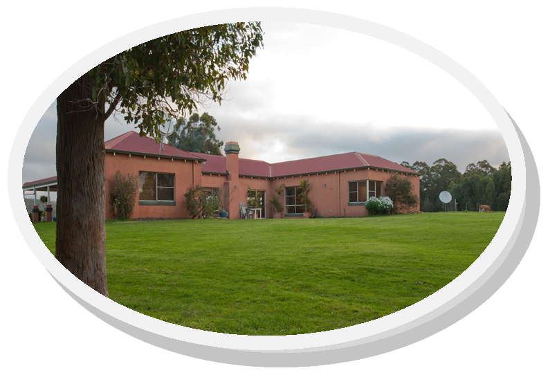 Valley of the Giants B and B | lodging | 55 Vigus Rd, Tingledale WA 6333, Australia | 0898408002 OR +61 8 9840 8002