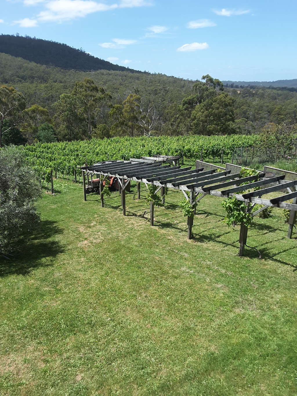 Nandroya Vineyard | 262 Sandfly Rd, Margate TAS 7054, Australia | Phone: 0419 348 867