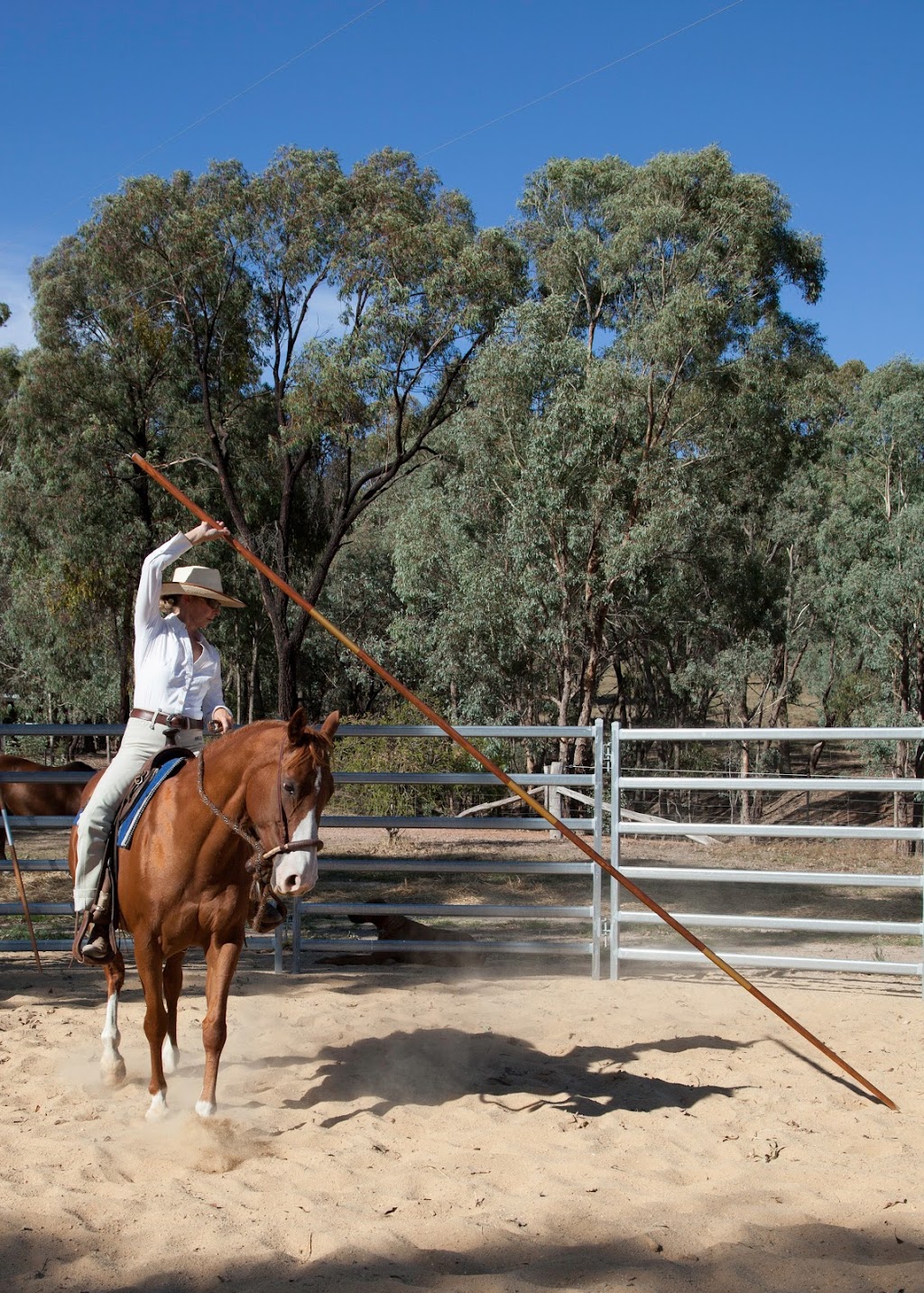 Molyullah Woodworks | 485 Green Rd, Molyullah VIC 3673, Australia | Phone: 0418 713 275