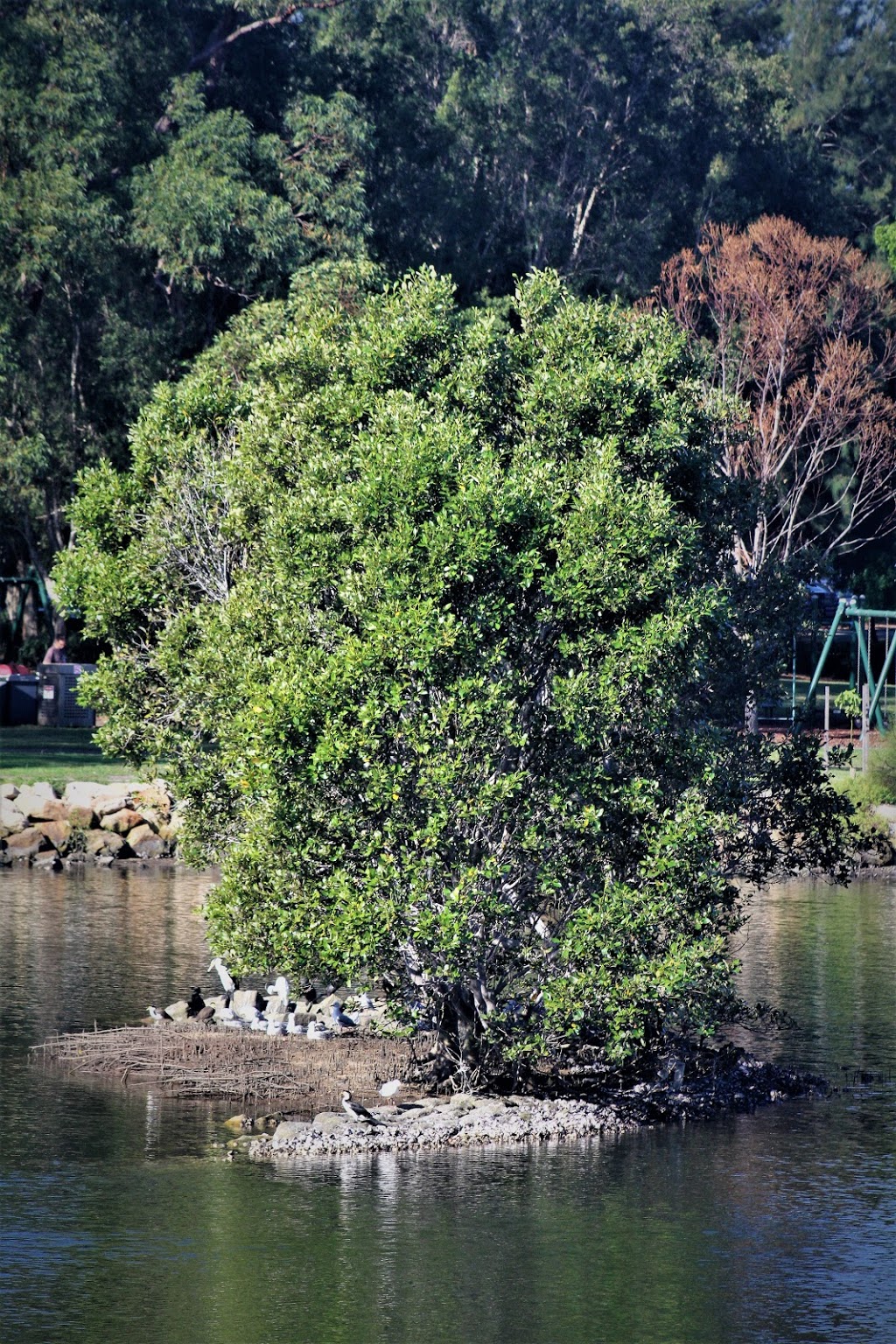 Fatima Island | park | Tempe NSW 2044, Australia