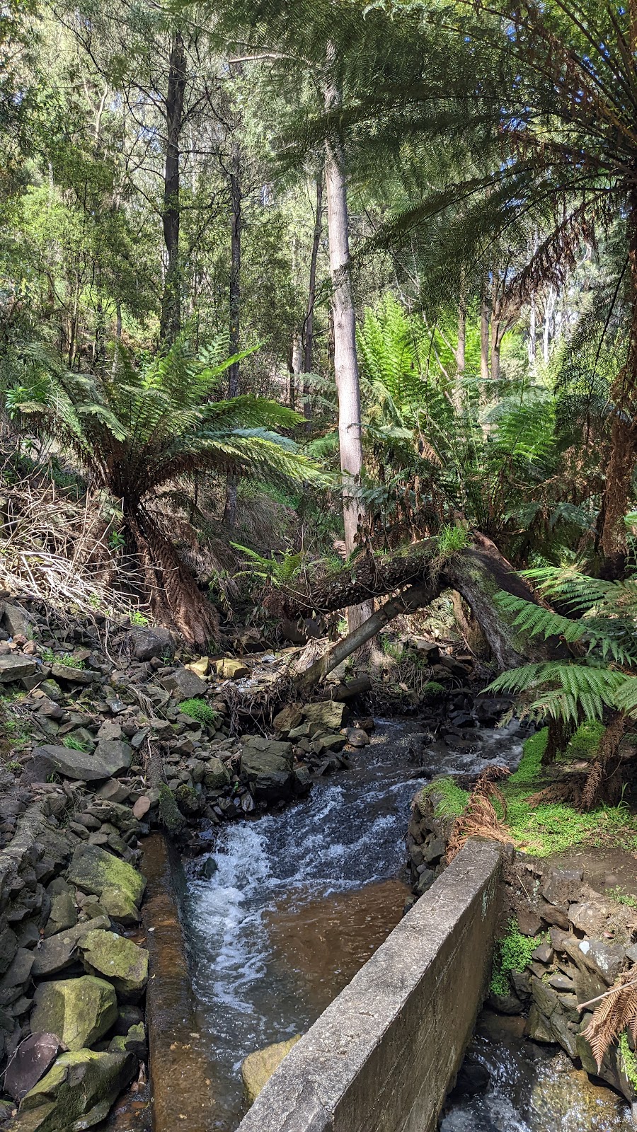 Oldaker Falls | tourist attraction | Maydena Pl, Parklands TAS 7320, Australia | 0364305700 OR +61 3 6430 5700