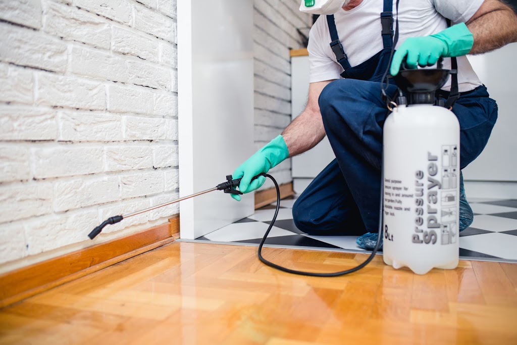 ✅ Pest Control Musk Vale?Pestbug Control Doctor?-Termite, Ant, Cockroach, Rodent Removal Treatment | 2567 Ballan-Daylesford Rd, Musk Vale VIC 3461, Australia | Phone: (03) 9034 8425