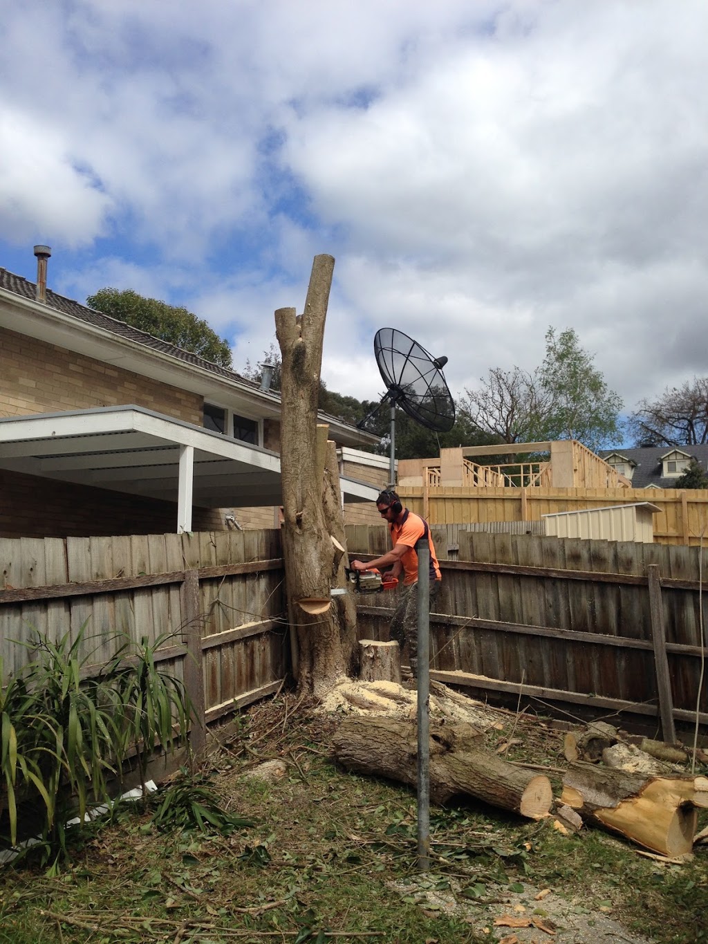 The Tree Removal Service. |  | Launching Place VIC 3139, Australia | 0418721643 OR +61 418 721 643