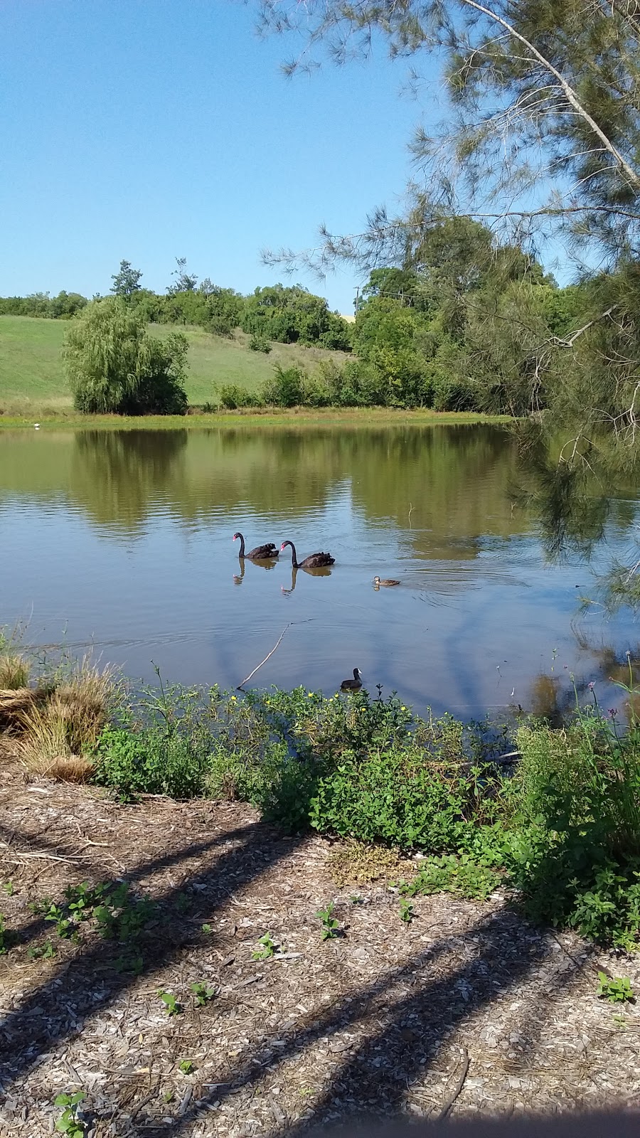 Pughs Lagoon Reserve | park | Lot 303 Old Kurrajong Rd, Richmond NSW 2753, Australia | 0245604444 OR +61 2 4560 4444