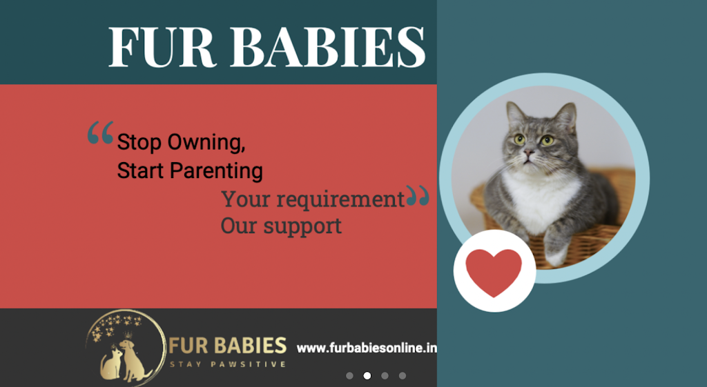 Fur Babies | Unit A2/167 Edwards St, Melrose Park SA 5039, Australia | Phone: 0424 826 256