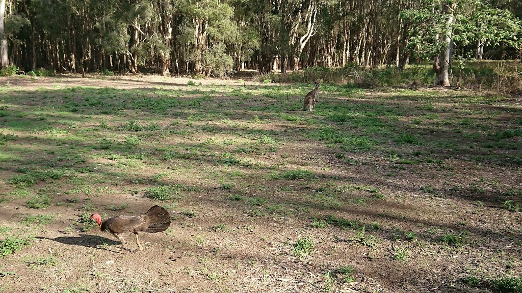 Coombahah Park Car Park | Coombabah QLD 4216, Australia