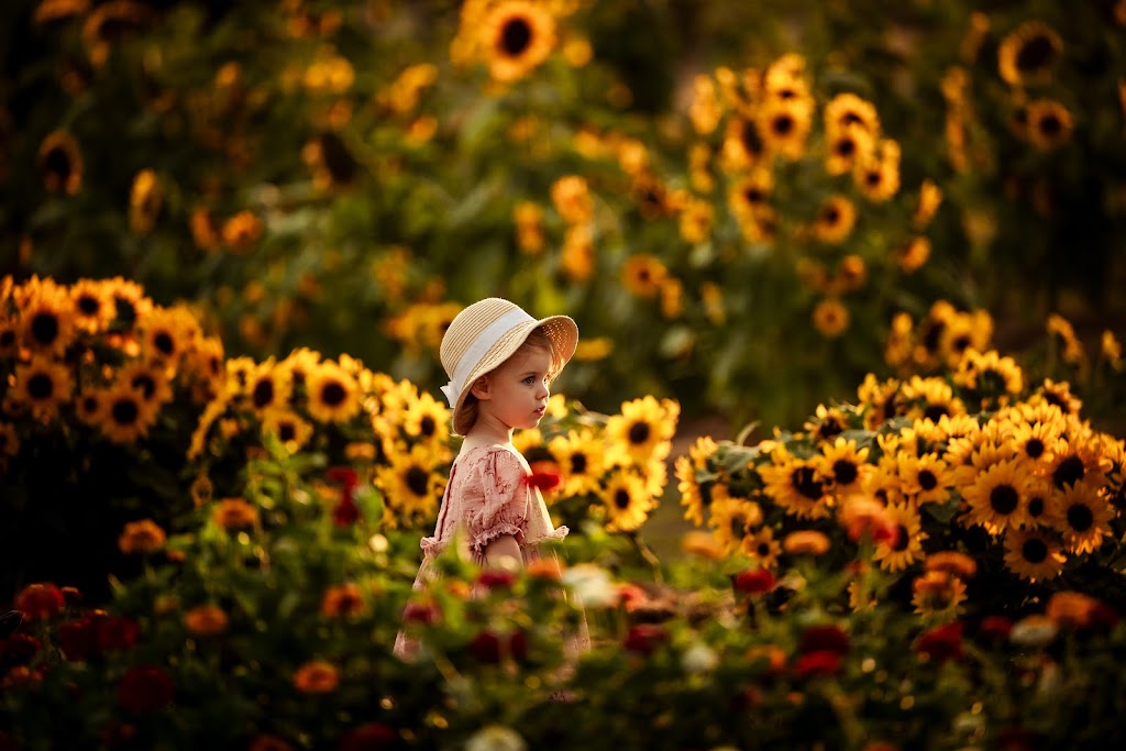 Natural Focus Photography | 29 Putty Rd, Wilberforce NSW 2756, Australia | Phone: 0414 516 845