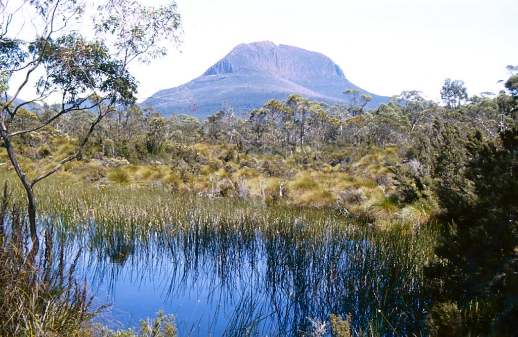 Mount Pelion West |  | Cradle Mountain TAS 7306, Australia | 0361654254 OR +61 3 6165 4254