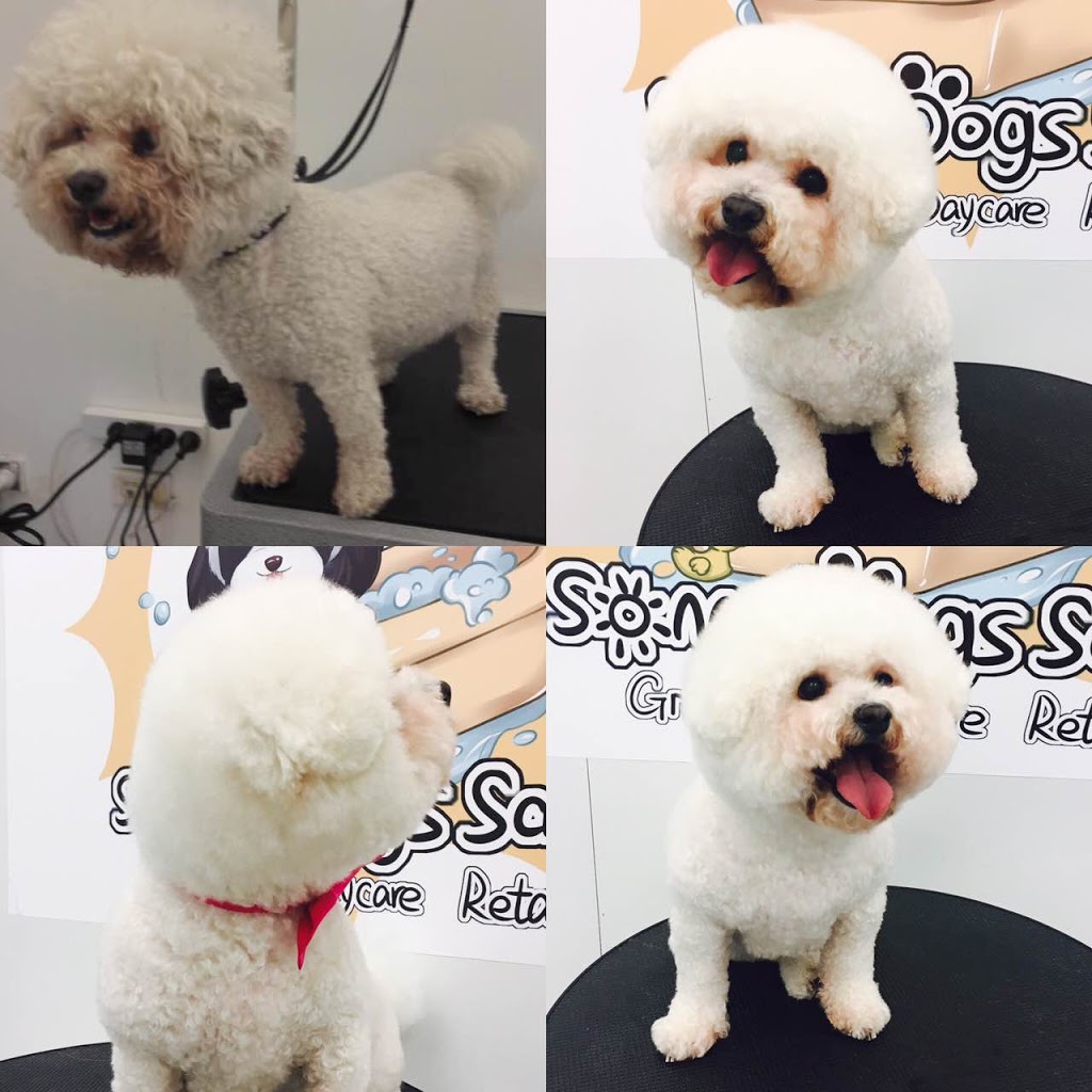 Sunny Dogs Salon | 3/635 Gardeners Rd, Mascot NSW 2020, Australia | Phone: 0402 635 186