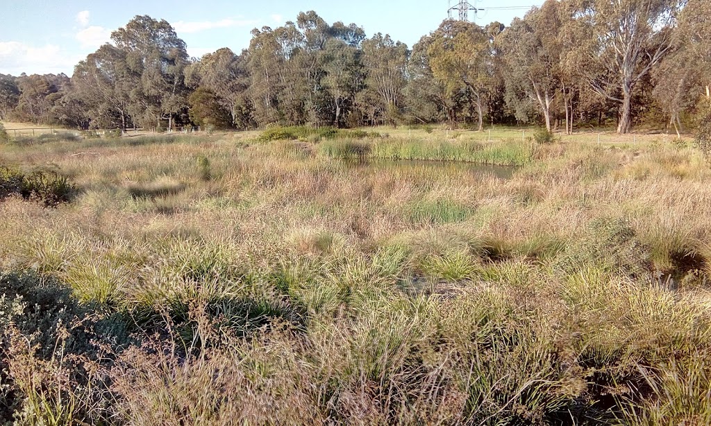 MERRI EDGARS WETLAND | park | LOT 1 Outlook Rd, Coburg North VIC 3058, Australia