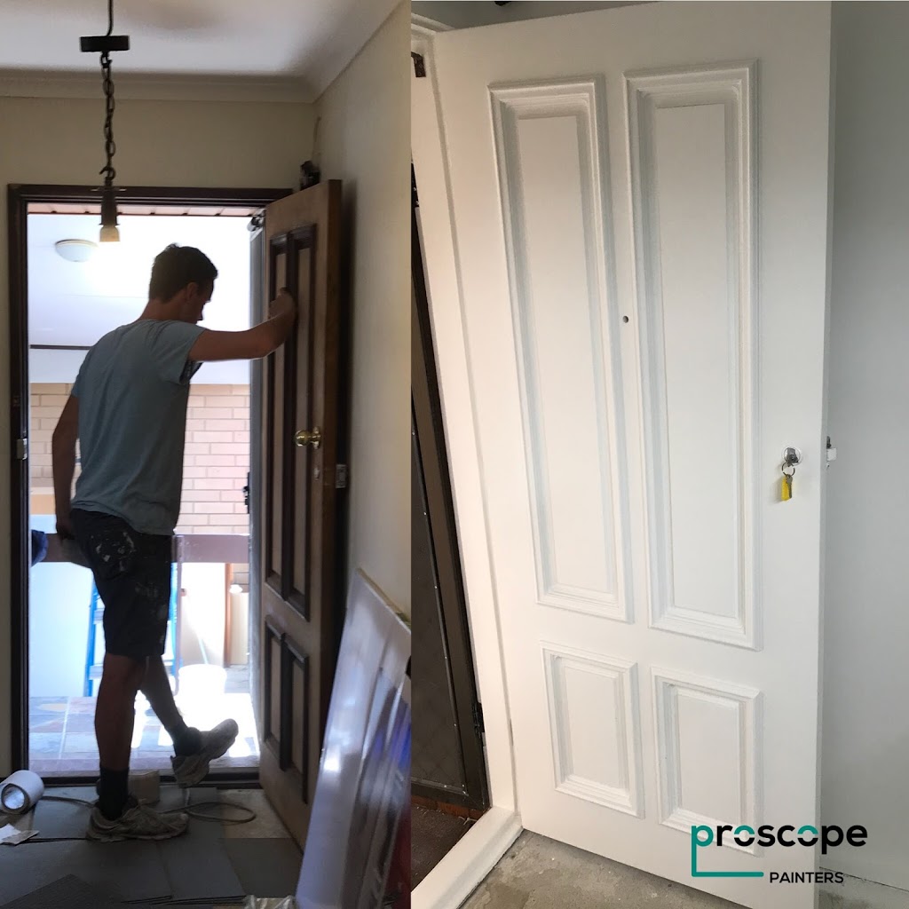 Proscope Painters | painter | Mordialloc VIC 3195, Australia | 0449949918 OR +61 449 949 918