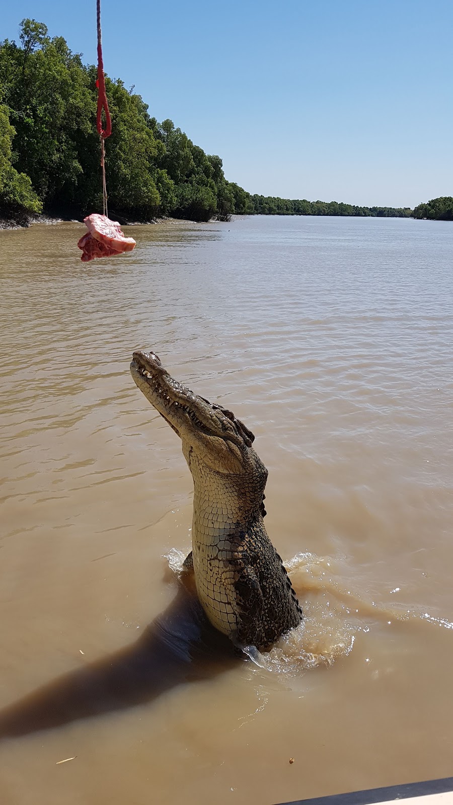 The Original Adelaide River Queen Jumping Crocodile Cruises | Adelaide River Bridge, 3220A Arnhem Hwy, Wak Wak NT 0822, Australia | Phone: (08) 8988 8144