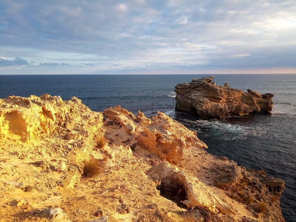 Fairy Penguin Colony | Port Macdonnell SA 5291, Australia