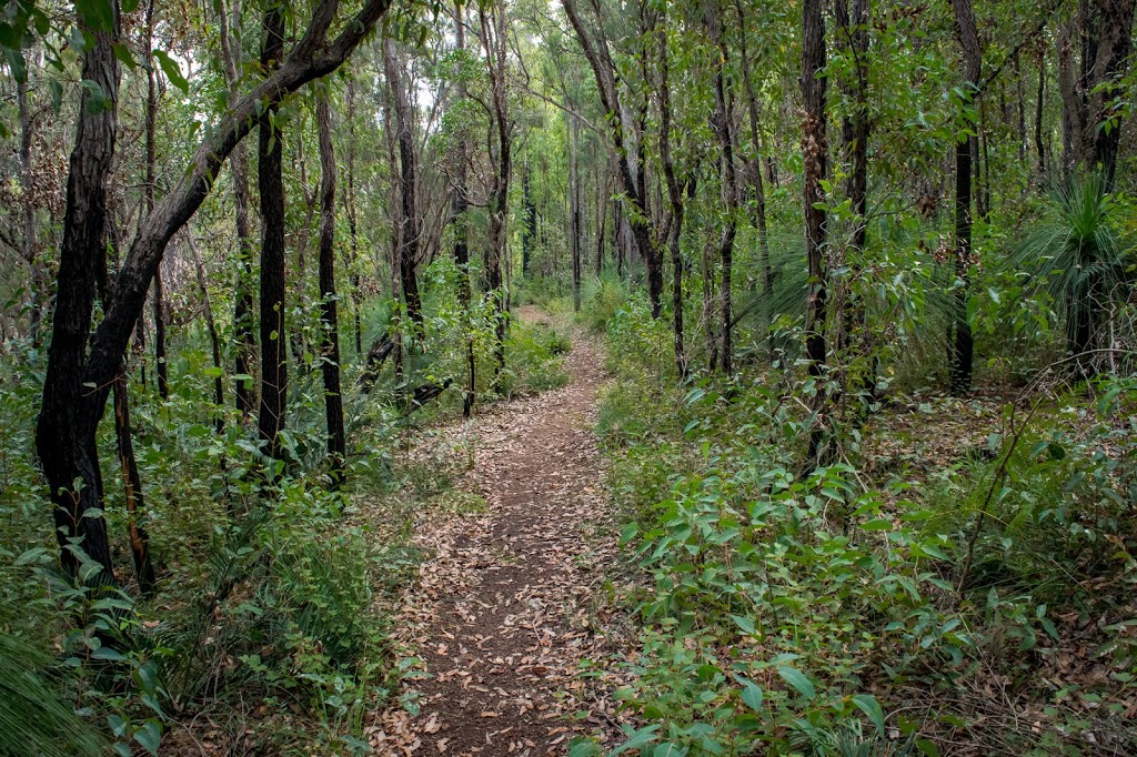 Mundlimup Timber Trail | park | Balmoral Rd, Jarrahdale WA 6124, Australia