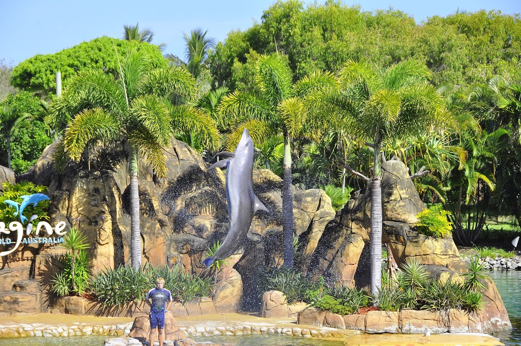 Sea World | amusement park | Seaworld Dr, Main Beach QLD 4217, Australia | 133386 OR +61 133386