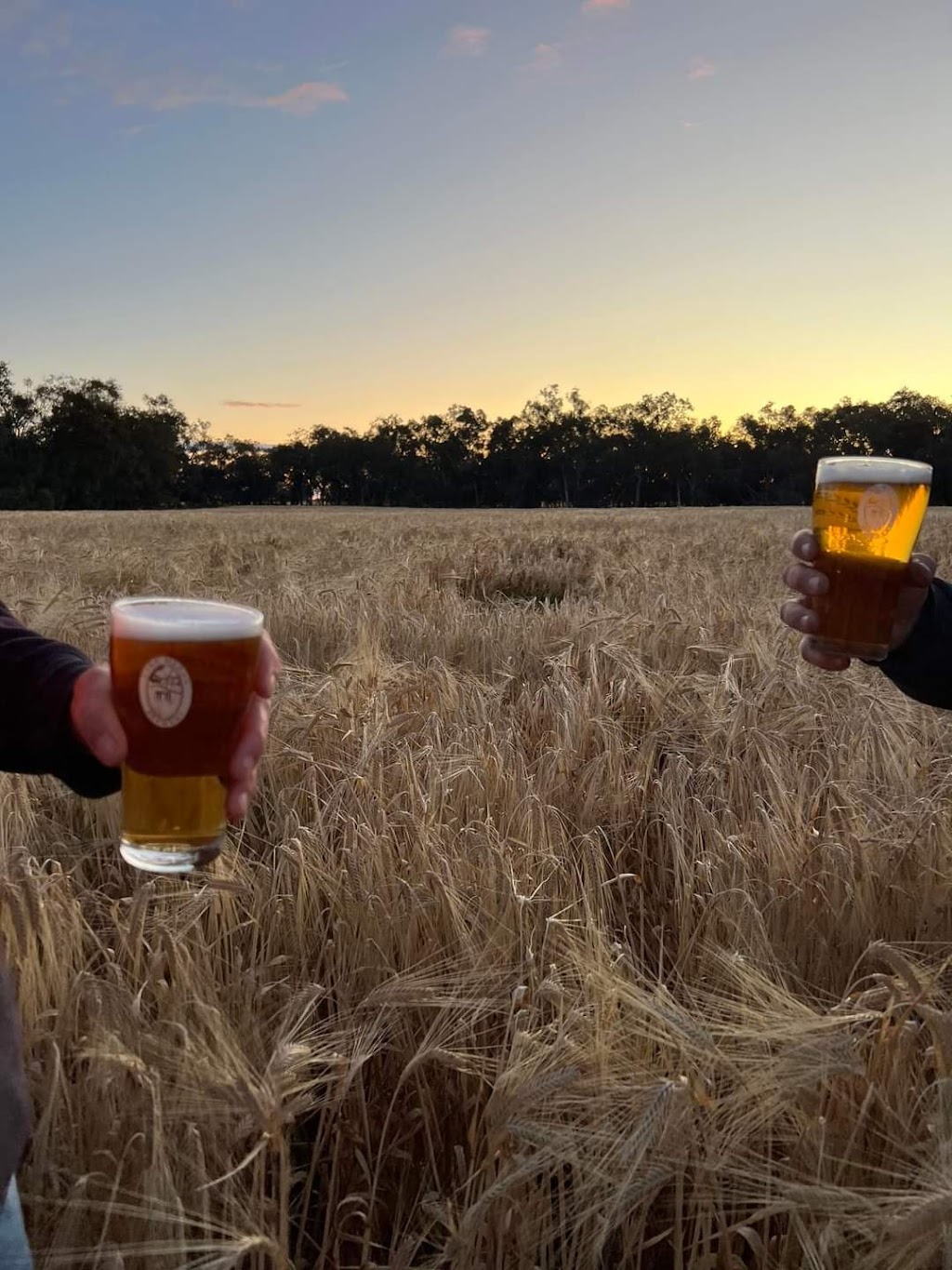 Lake Meran Brewery & Distillery | 325 Meering W Rd, Meering West VIC 3579, Australia | Phone: 0499 023 975