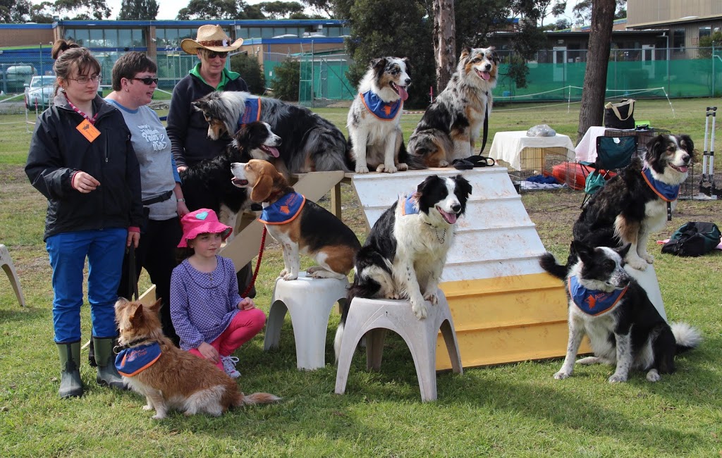 Alfoxton Dog Centre | 60 Junction Rd, Heathcote Junction VIC 3758, Australia | Phone: 0402 118 929