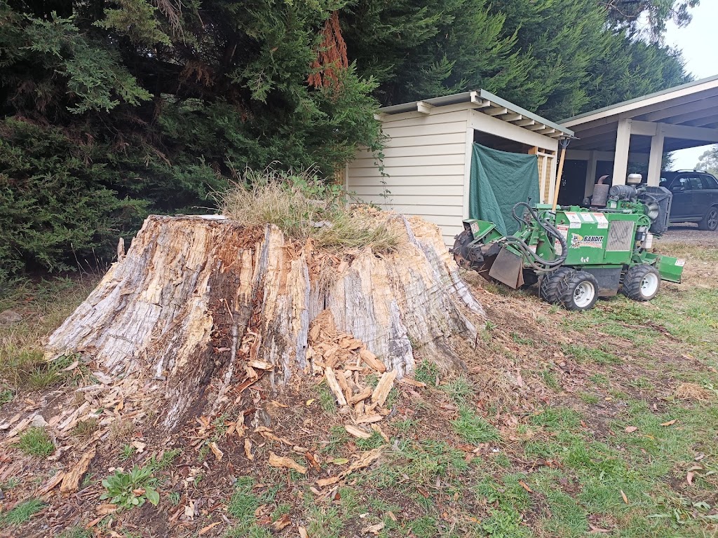 The Stump Grinder Man | Beaconsfield-Emerald Rd, Emerald VIC 3782, Australia | Phone: 0409 331 122