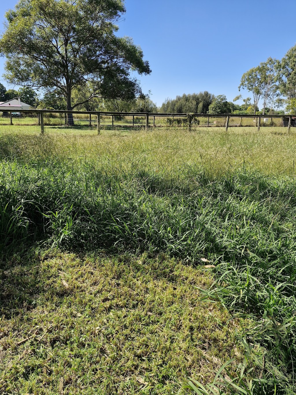 Deans Mowing & Maintenance | John St, Walloon QLD 4306, Australia | Phone: 0413 603 287