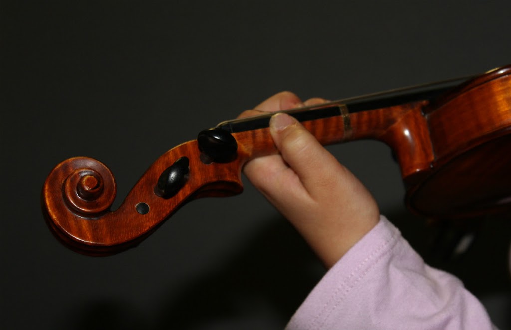 Nurture Music, Suzuki Violin Lessons | school | 9 Fairway Ave, Mortdale NSW 2223, Australia | 0411248008 OR +61 411 248 008