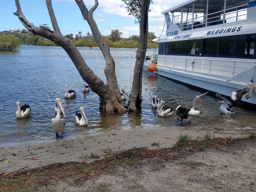 Tweed Estuary Nature Reserve | park | Tweed Heads South NSW 2486, Australia