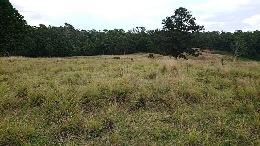 Carrai National Park | Carrai NSW 2440, Australia