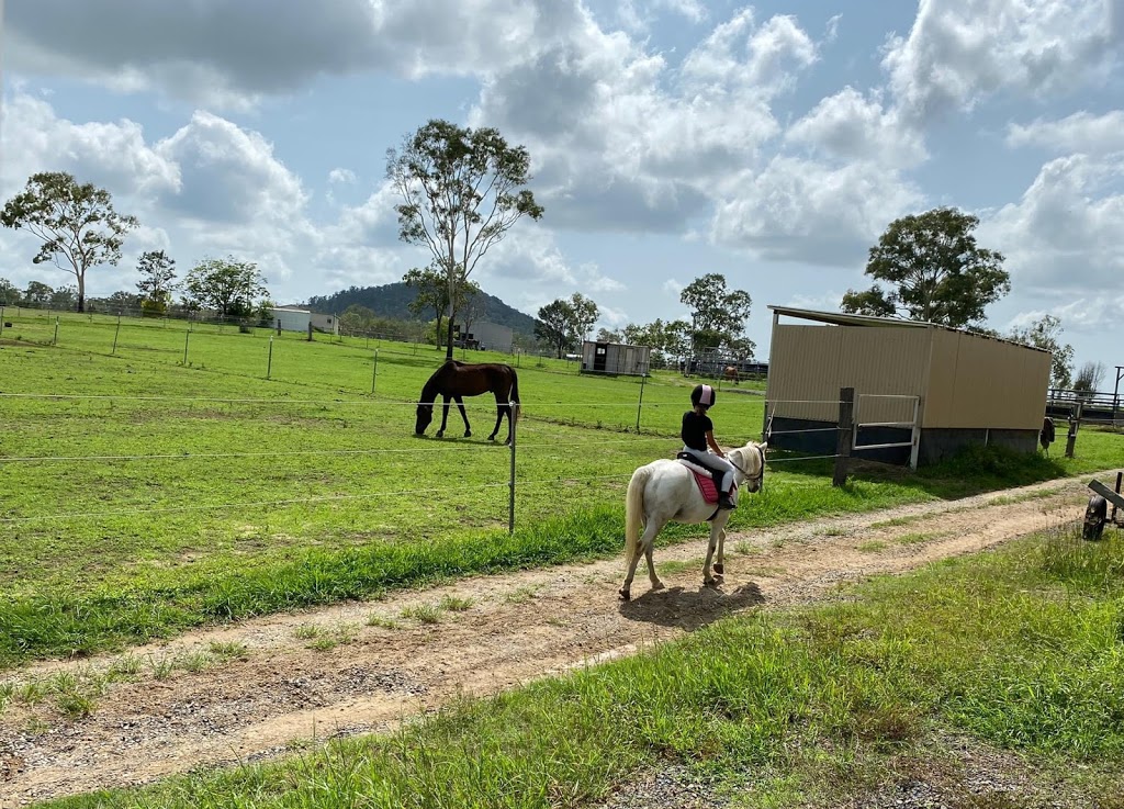 Champion C Stud & Equestrian Centre |  | 9 Van Moolenbroek Rd, Balnagowan QLD 4740, Australia | 0451458839 OR +61 451 458 839