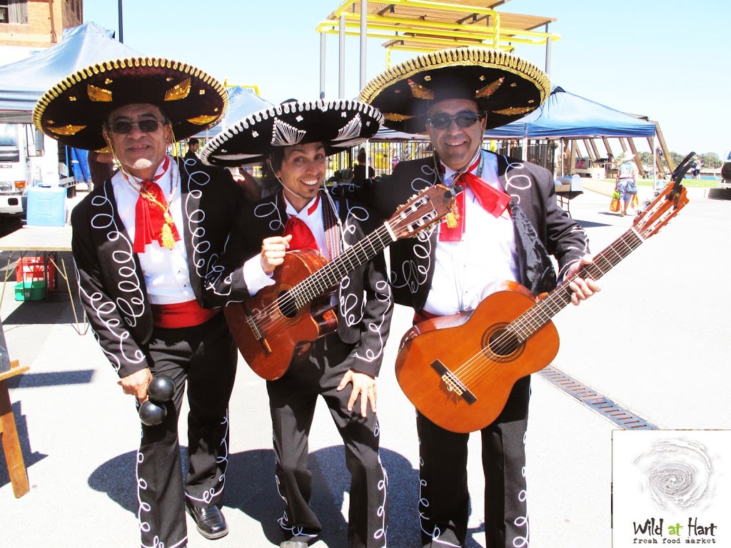 Mexican Mariachi Band Australia | electronics store | 17B Denmead Ave, Campbelltown SA 5074, Australia | 0414459888 OR +61 414 459 888